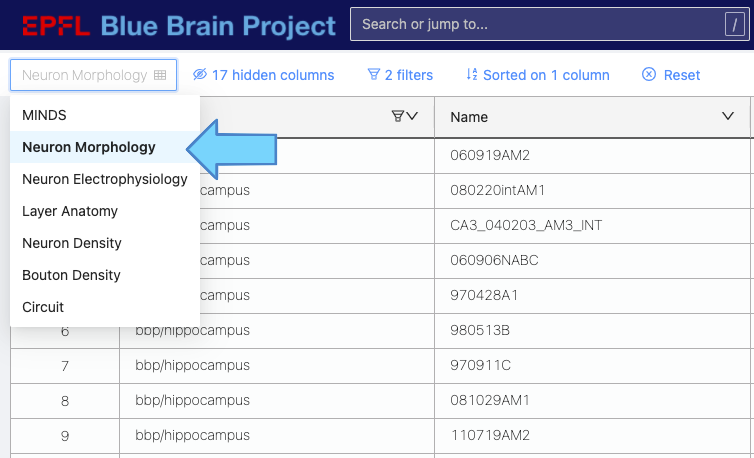 Preconfigured Searches