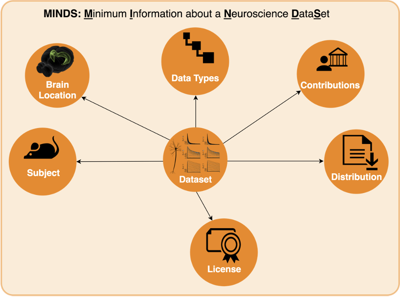 MINDS Diagram